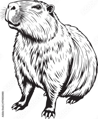 Capybara. Hand drawn vector illustration