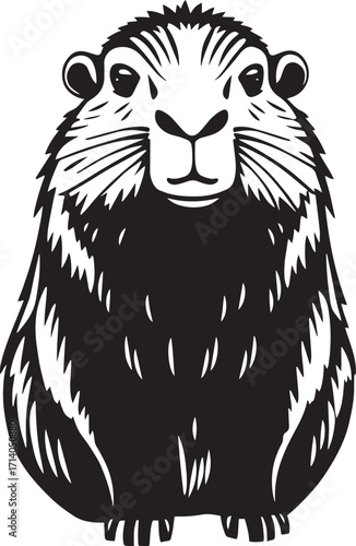 Capybara. Hand drawn vector illustration