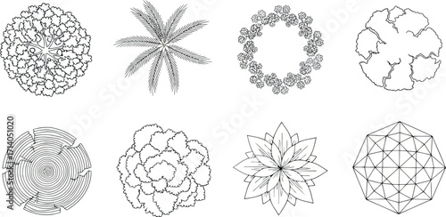 Vector art of collection of eight black and white topdown plant illustrations