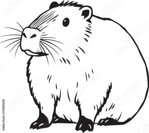 Capybara. Hand drawn vector illustration