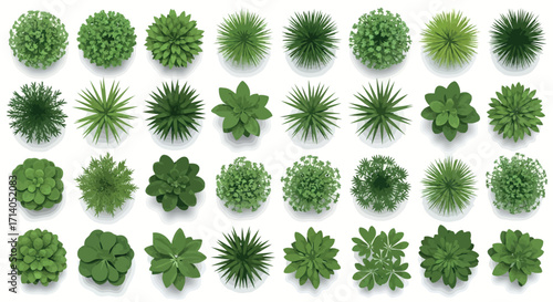 Vector art of large collection of diverse green plants and trees from a topdown perspective isolated on white
