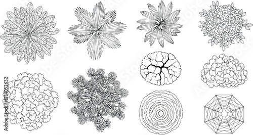 Vector art of assortment of botanical topdown illustrations and snowflake designs