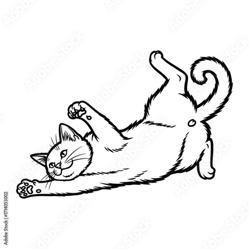 Playful Cat's Delight: A whimsical illustration captures the pure joy of a cat sprawled out in a position of comfort, showcasing the adorable charm of feline life.