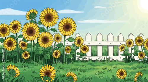 Vibrant sunflowers grow beside a white picket fence in a lush green yard under a blue sky, creating a peaceful and summery atmosphere perfect for gardening or nature-themed illustrations.