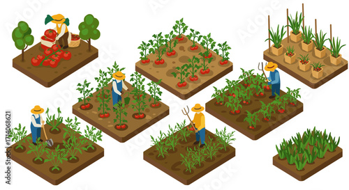 Isometric farming: garden vegetables and farmers tending crops in multiple plots