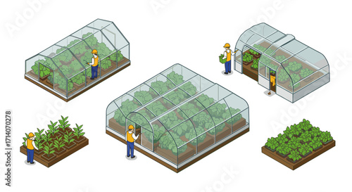 Isometric greenhouse farming with workers and crops in a modern agricultural setting