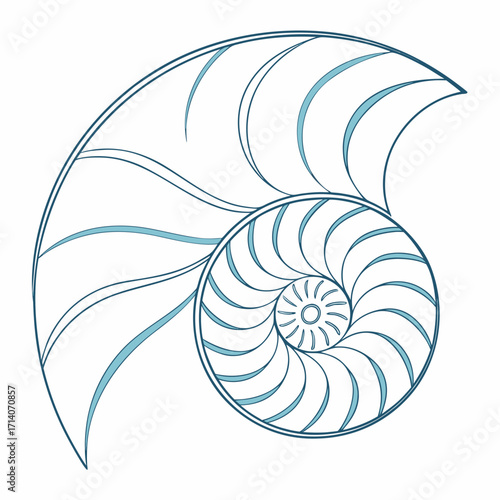 Elegant blue line art illustration of a nautilus shell spiral showing its intricate chambers and logarithmic growth pattern on a white background