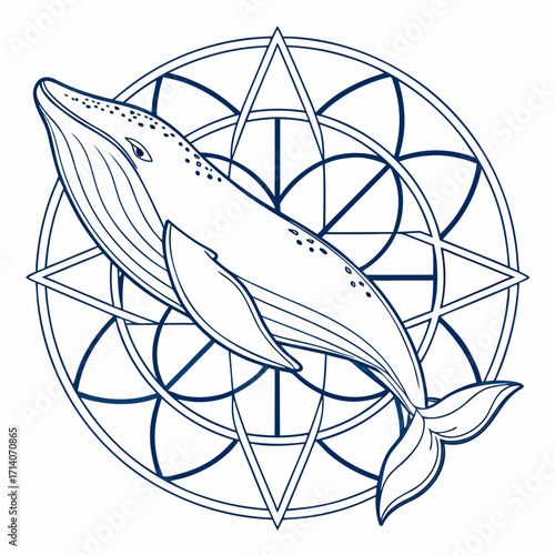 Elegant blue line art of a majestic whale swimming gracefully within a geometric celestial compass rose and star pattern
