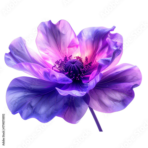 Side View of Trippy Neon Purple Bloom, Radiating Energy, Isolated