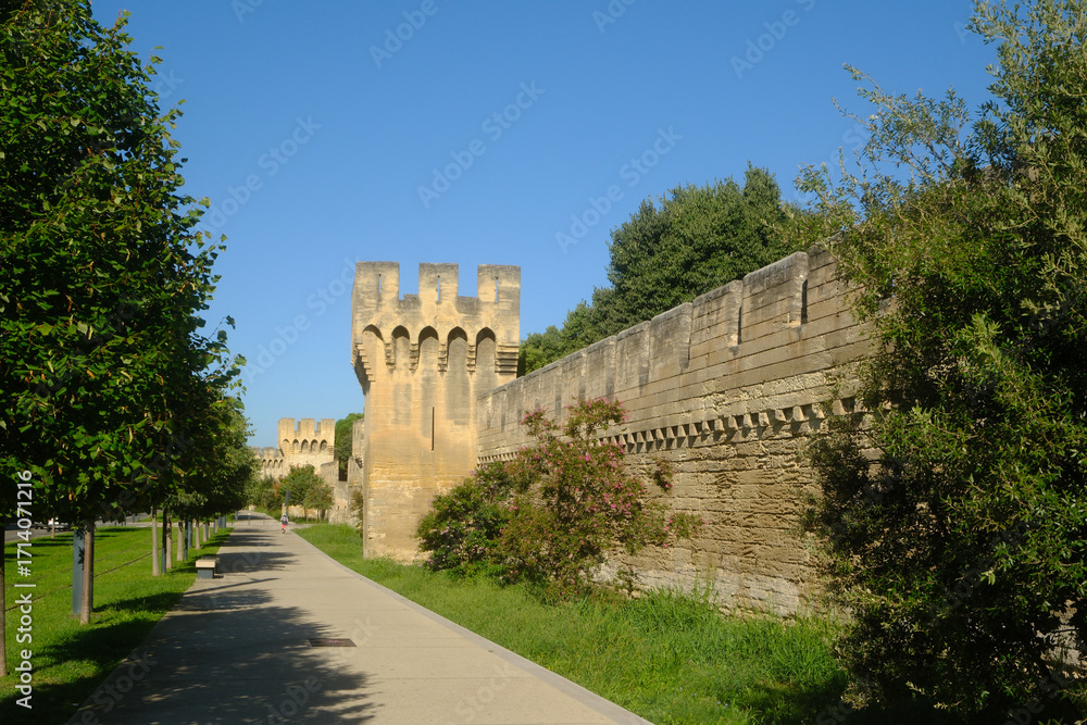 Obraz premium preserved medieval stone fortification wall and gateway, crenellations, and machicolations in Avignon, France