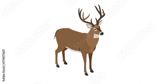 Isometric deer with antlers on white background