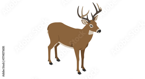 Realistic deer standing on white background with prominent antlers