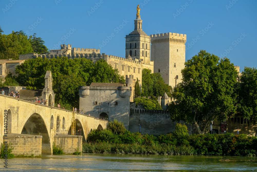 Fototapeta premium Saint-Benezet Bridge, the Cathedral and the Popes' Palace, medieval architecture on the banks of the Rhone River in Avignon, France.