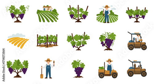 Vineyard farming scenes with grapes and farmers in flat design
