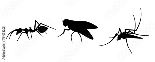 Silhouettes of an ant, a fly, and a mosquito isolated on a white background. Each insect is represented in a bold black outline, highlighting characteristic features such as legs, wings, antennae.