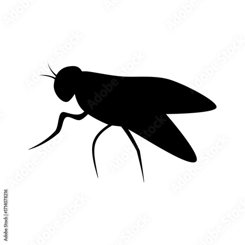 Silhouette of a fly isolated on a white background. The insect’s body, wings, and legs are clearly outlined in a simple black shape, creating a striking and minimalistic design.