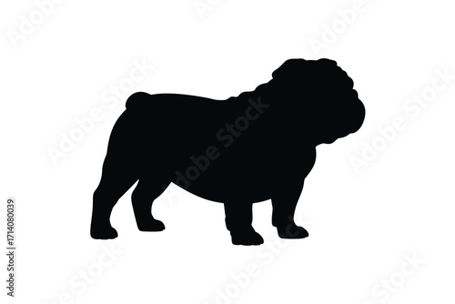 Black silhouette of a standing english bulldog