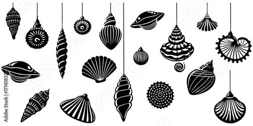 Create a highly realistic, high-resolution image of a collection of assorted sea shells suspended in mid-air or artistically arranged on a clean white background. Include a variety of shell types such