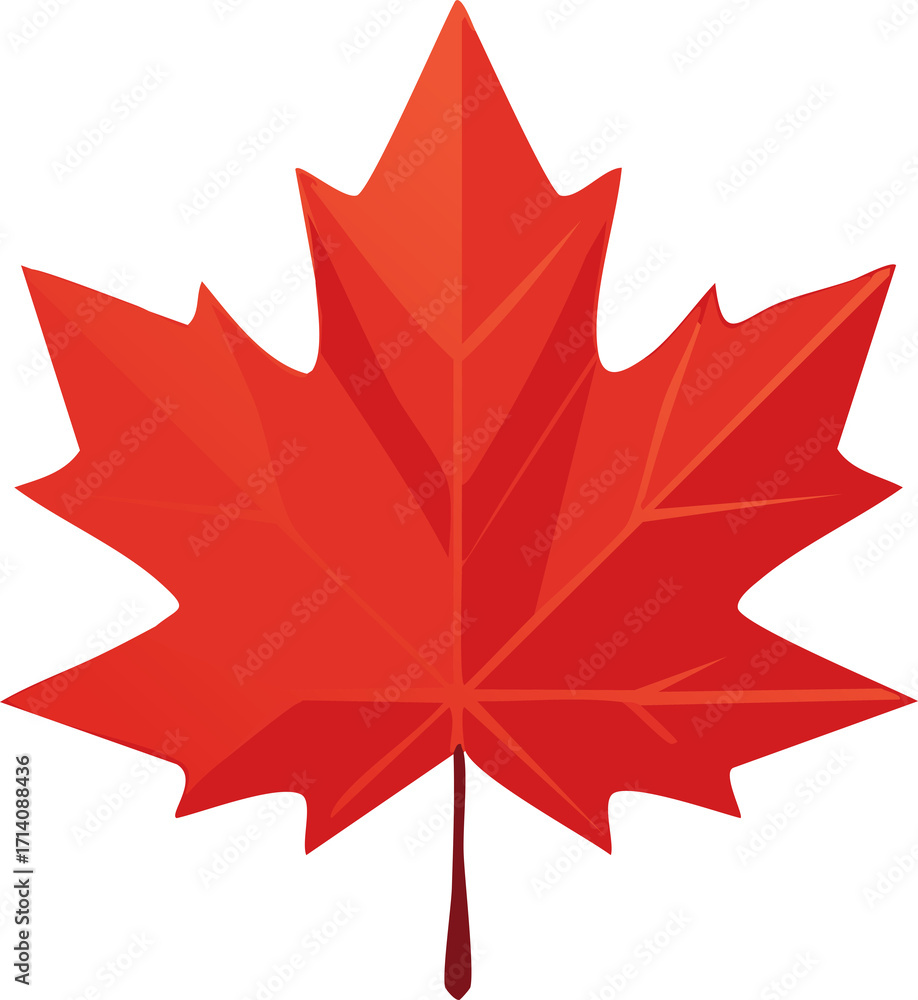 Fototapeta premium Autumn Maple Leaf Illustration and Vector with Fall Season Design
