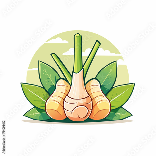 Galangal Root and Lemongrass Illustration
