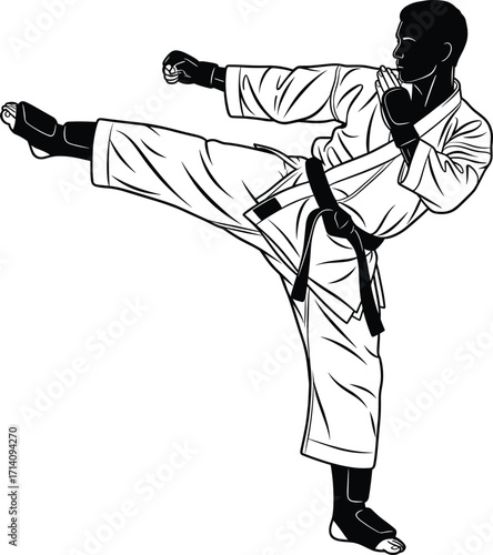 Black and white silhouette of a male martial artist performing a high kick, illustrating discipline, strength, and combat training for sport.
