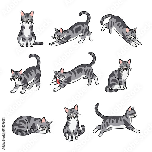 Nine Life Moments of a Cat: Delightful illustration presents a collection of cute cats in various poses and expressions, capturing their playful nature and individual charm.