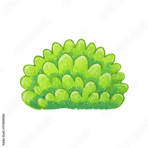 Green leafy bush
