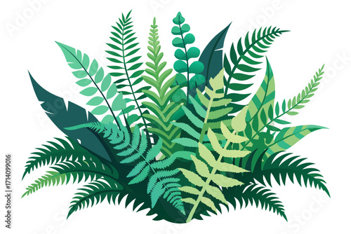 green fern leaf