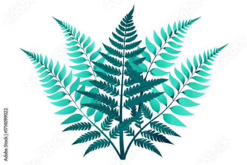 fern leaf isolated on white