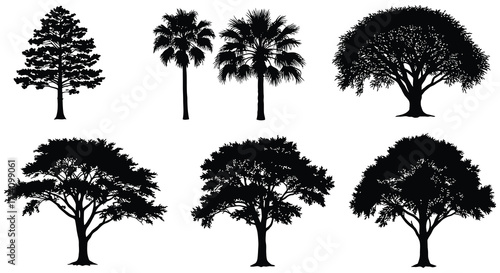 Collection of silhouetted trees including palms conifers and broadleaf varieties