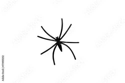 Black spider isolated on white background