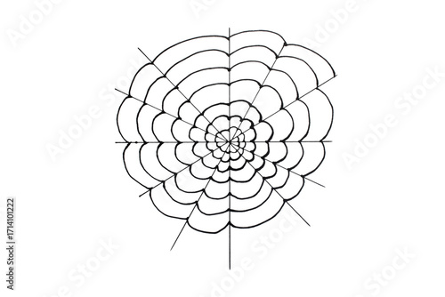 Spider web with black spider isolated on white background