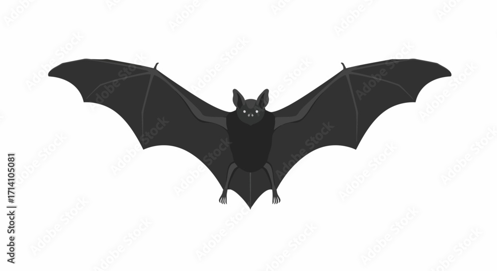 Fototapeta premium A grey bat spreads its wings frontfacing on a white background