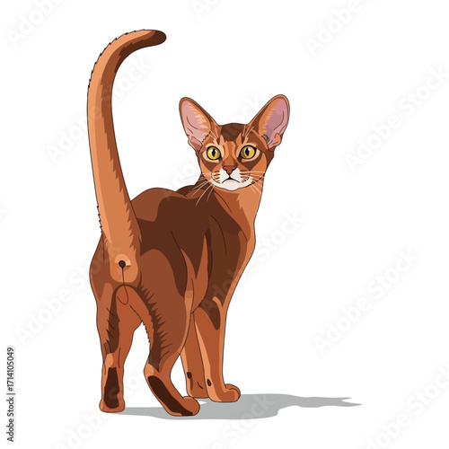 Curious Cat: A striking ginger cat with captivating eyes, captured in a detailed illustration, its gaze directed towards the viewer while its tail curves gracefully.