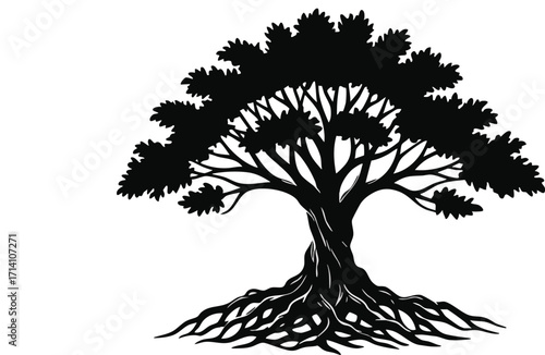 Silhouette of a large, mature tree with detailed roots.