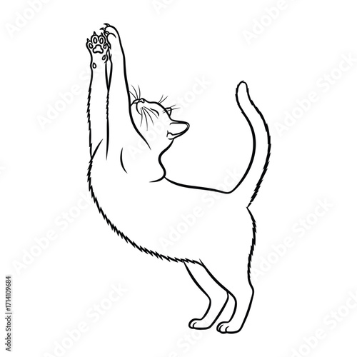 Playful Cat Sketch: An illustration of a feline stretching and reaching upward, its form captured in a simple black and white sketch, exuding playful energy and curiosity.