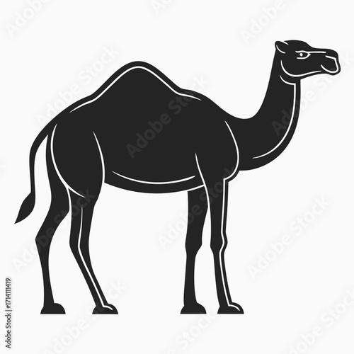 Stylized Silhouette of a Dromedary Camel Standing Tall Against a White Background Plain Animal Image