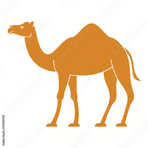 Silhouette of a Dromedary Camel Walking Across the Desert Sand Dune Symbolizing Middle Eastern Wildlife Adaptations