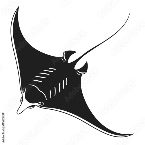 Detailed black silhouette of a manta ray swimming forward with its head and mouth visible on a white background