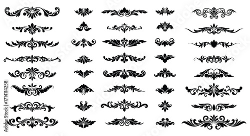Collection of ornate black flourishes and decorative swirls for design purposes