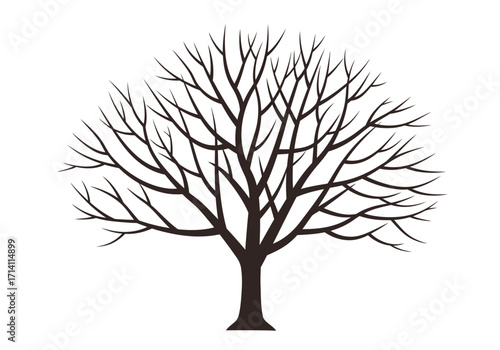 Silhouette of a bare tree with intricate branches against a white background