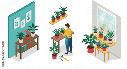Isometric indoor gardening with houseplants illustrating a cozy home environment