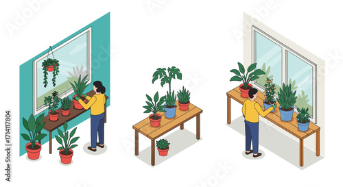 Isometric indoor gardening: people caring for houseplants in modern home interiors