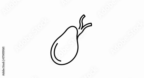 Gallbladder line icon, simple anatomical illustration of human internal organ. Concept of medicine, health, or biology for educational purposes.