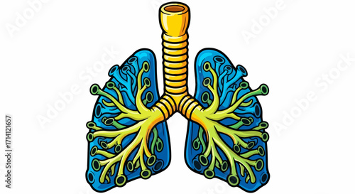 Anatomical lungs on white background, illustrating pulmonary system, health and medical science. Anatomical lungs reveal bronchial tree anatomy.