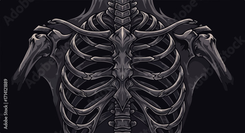 Dark skeleton illustration features ribcage anatomy on black background. Dark skeleton illustration has intricate bone structure and spine details,