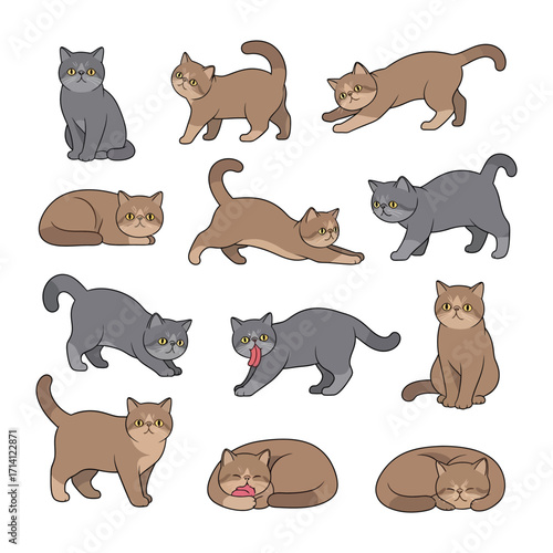 Cats in Action: A collection of endearing cartoon illustrations of adorable cat in various poses capturing their playful and relaxed attitudes.