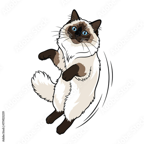 Graceful Feline Air Dance: An illustrated Ragdoll cat floats playfully, captivating with its blue eyes and plush coat in a moment of airborne delight.