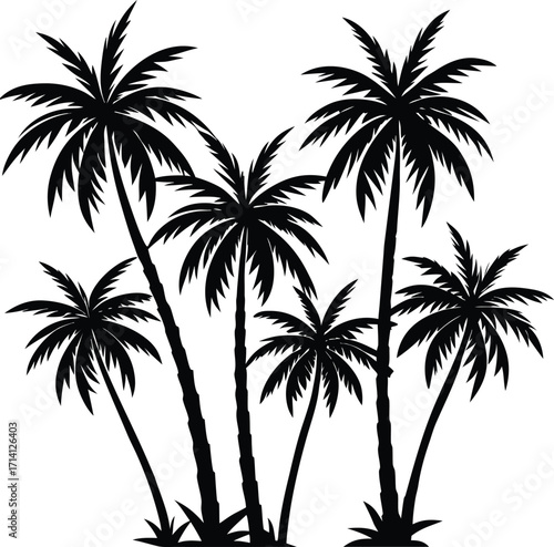 black-palm-trees-set-isolated-on-white-background.eps