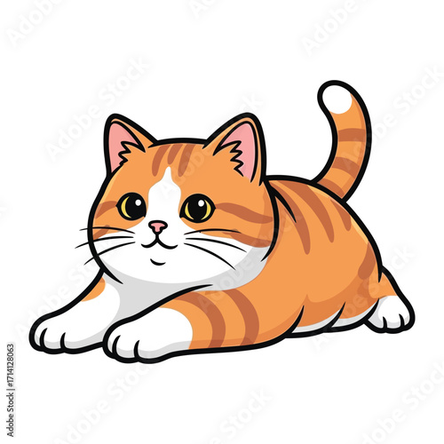 Playful Kitten's Paws: The charming orange and white striped kitten lies playfully, showcasing its delightful and adorable expression.